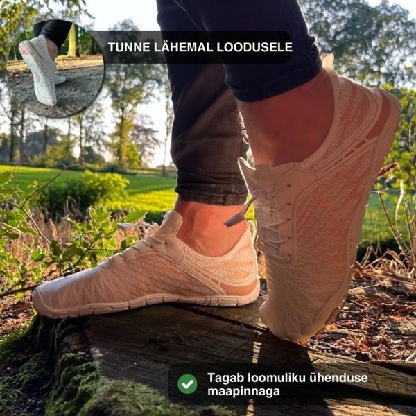 BAREONPRO14121_EE__0f79dc0a