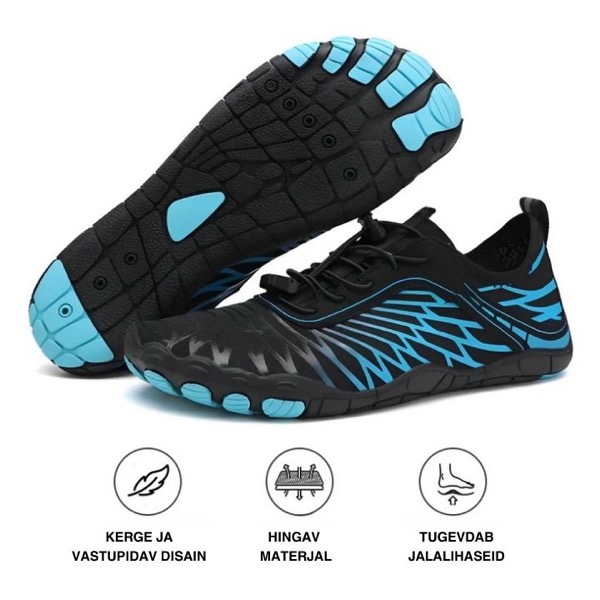 (Bulk 1) BAREO PP IMAGES – New markets – EE – BLUE